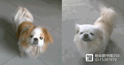 馆淘闹.jpg