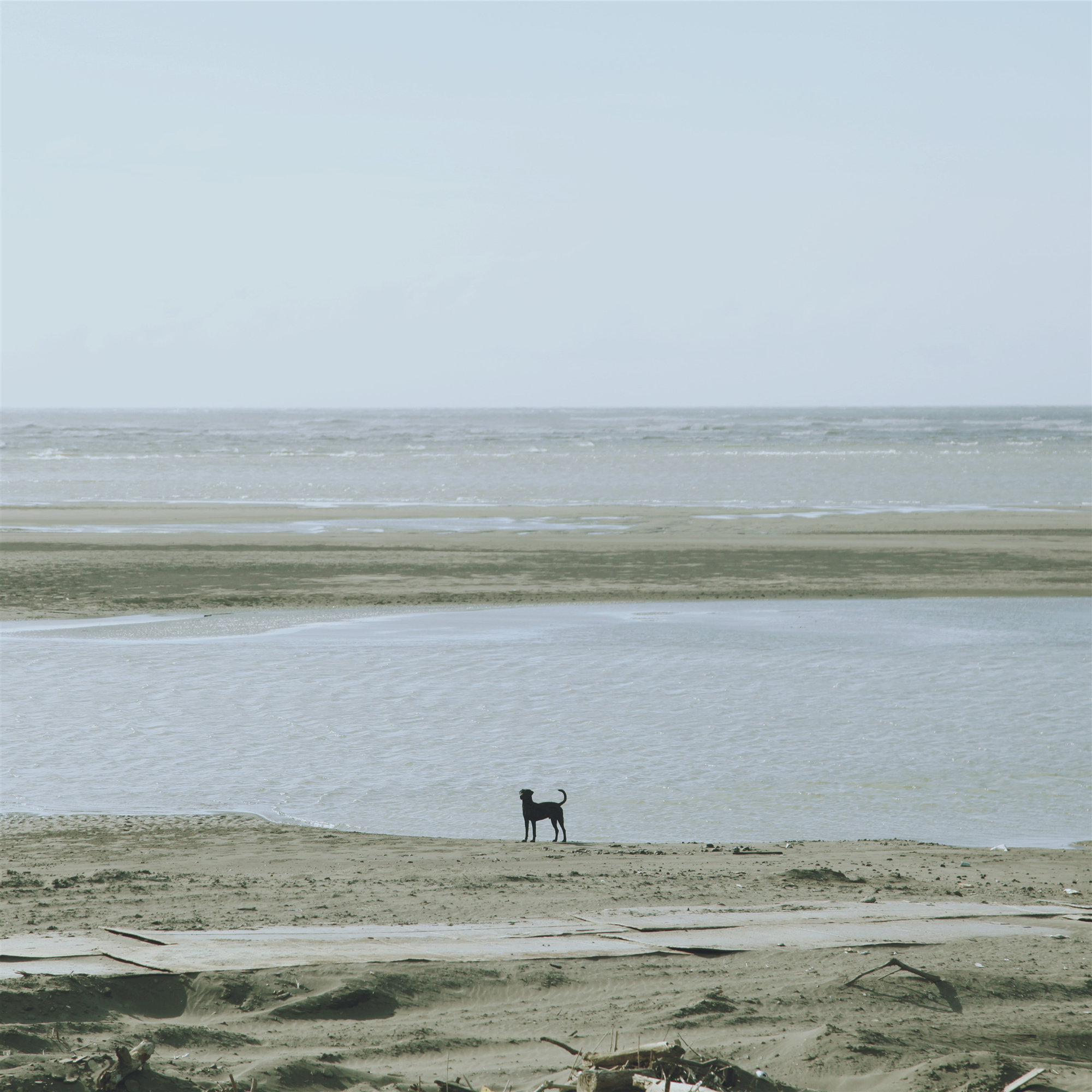 5.《心·镜像》.jpg