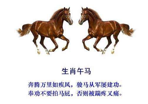 7马.jpg