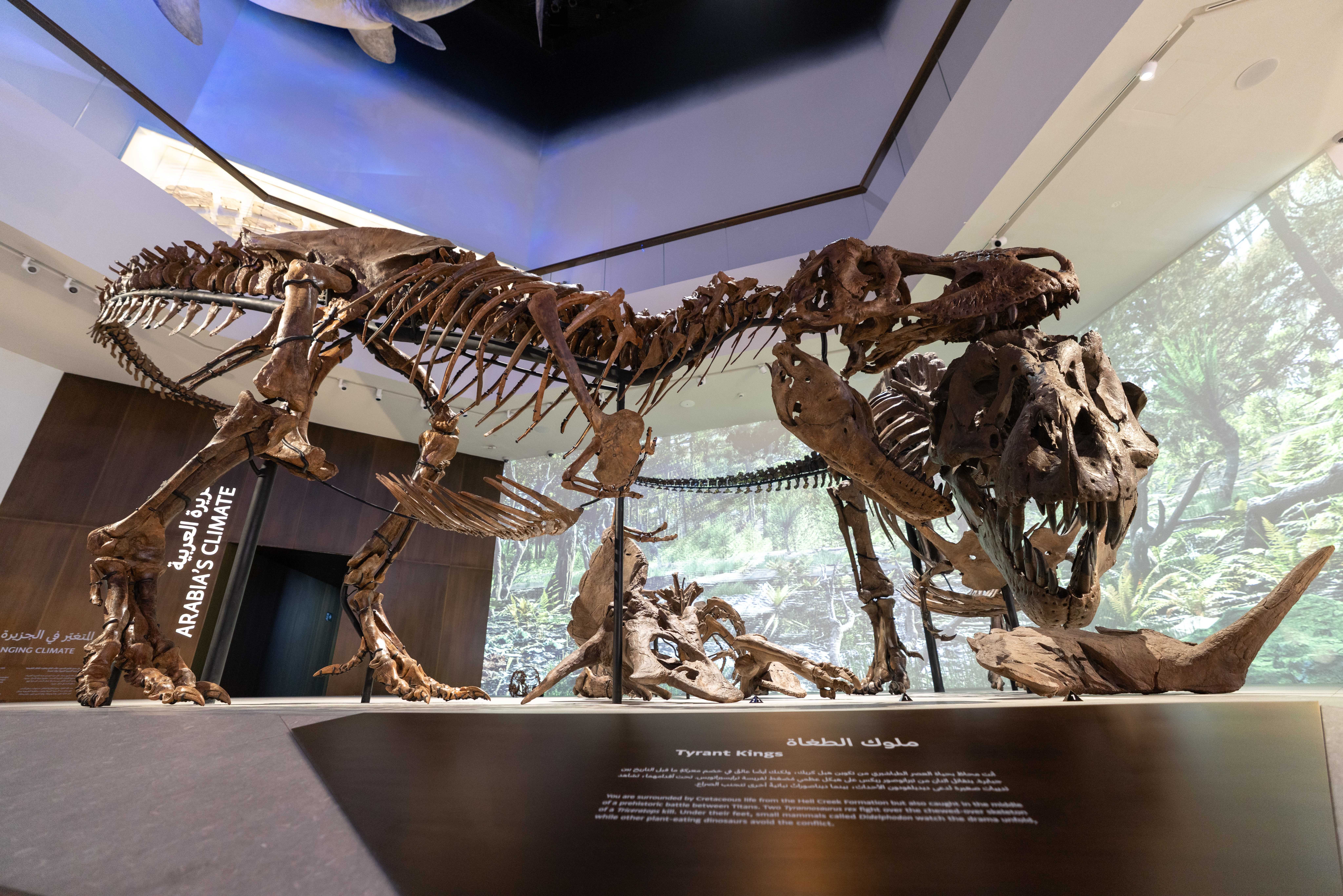 谢赫·哈立德·本·穆罕默德·本·扎耶德·阿勒纳哈扬殿下为萨迪亚特文化区新地标——阿布扎比自然历史博物馆揭幕