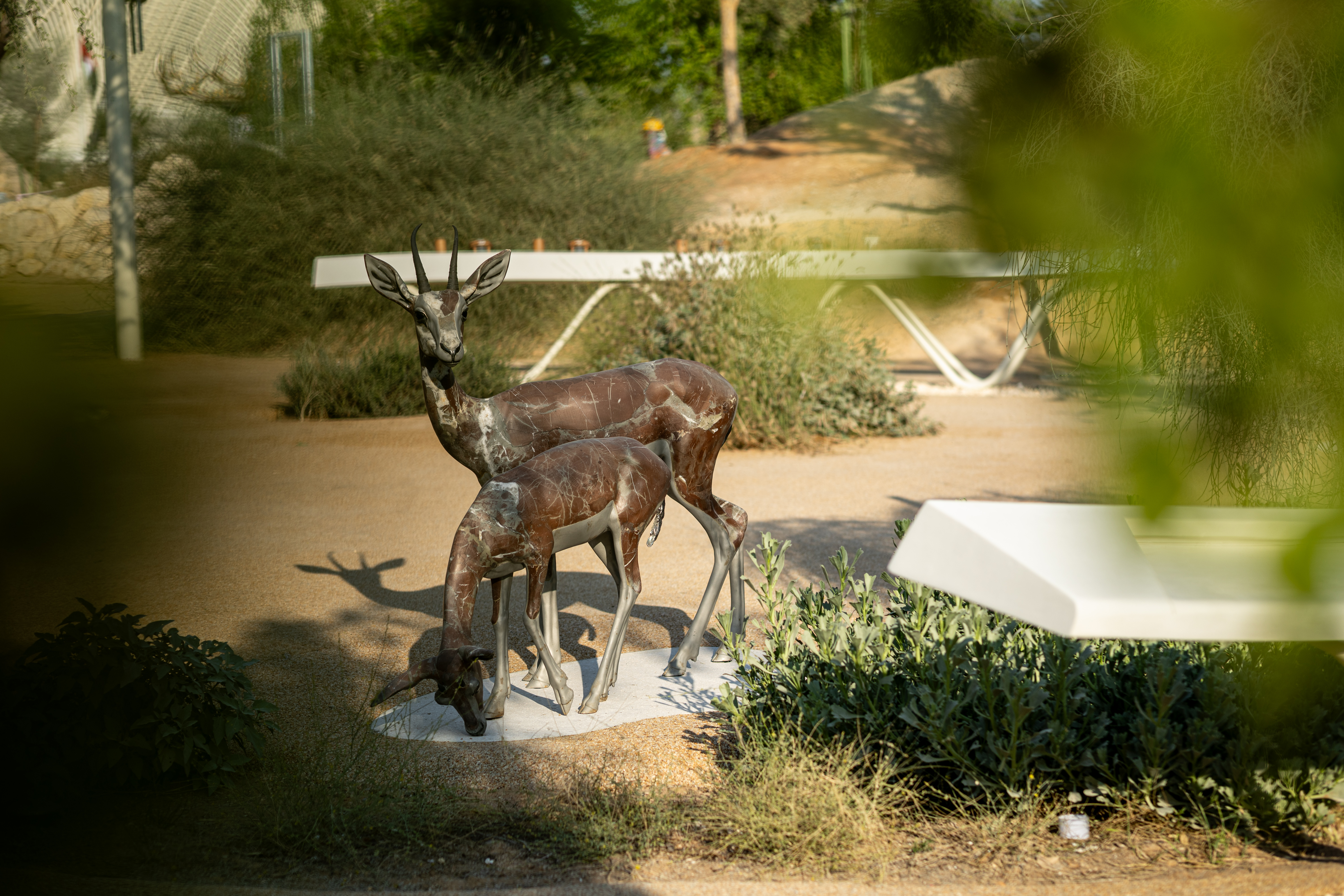 扎耶德国家博物馆于阿布扎比正式向公众