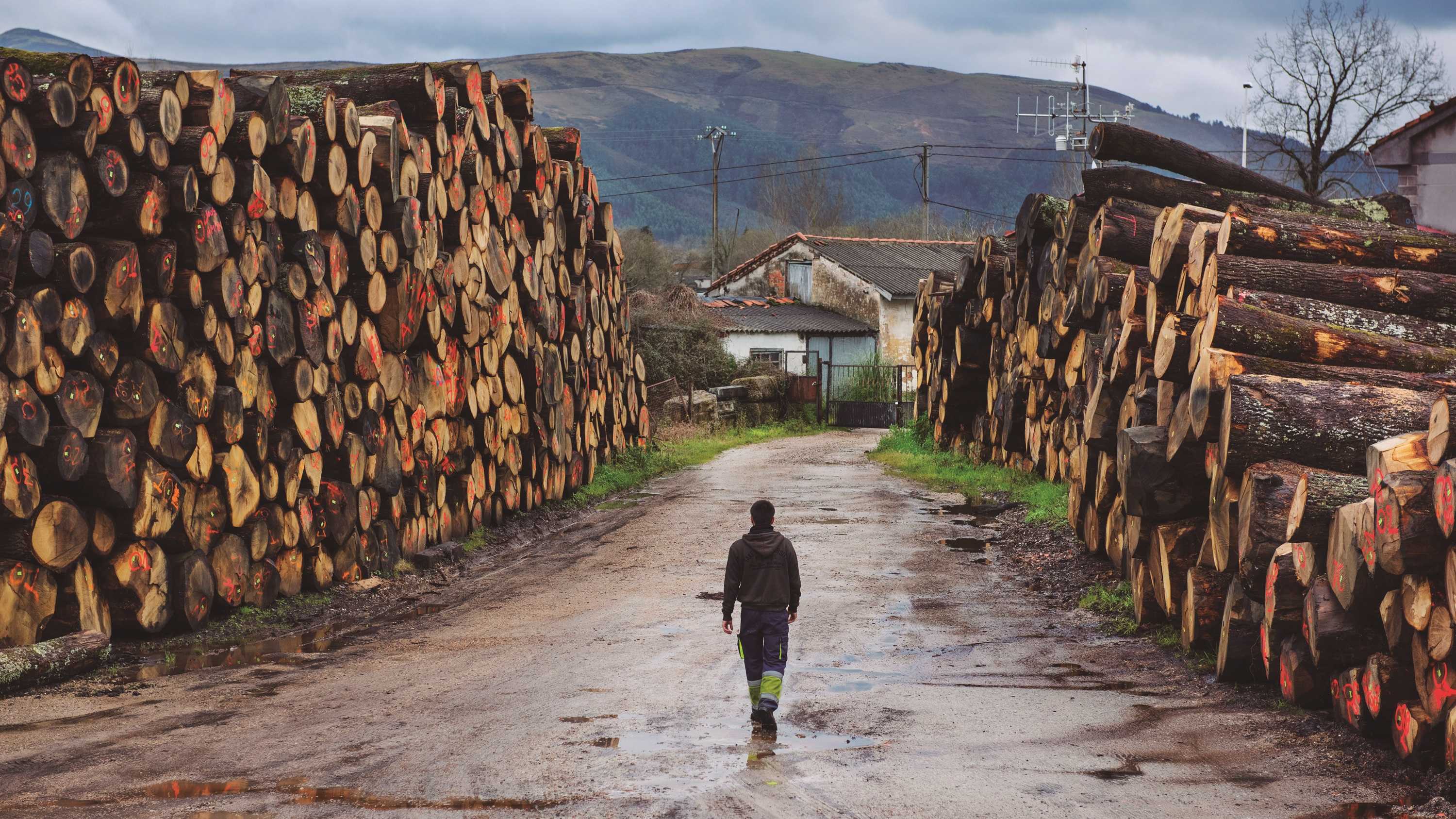 麦卡伦“造诣不止匠艺” 匠艺为根,造诣不止,成就麦卡伦跨越两个世纪的卓越