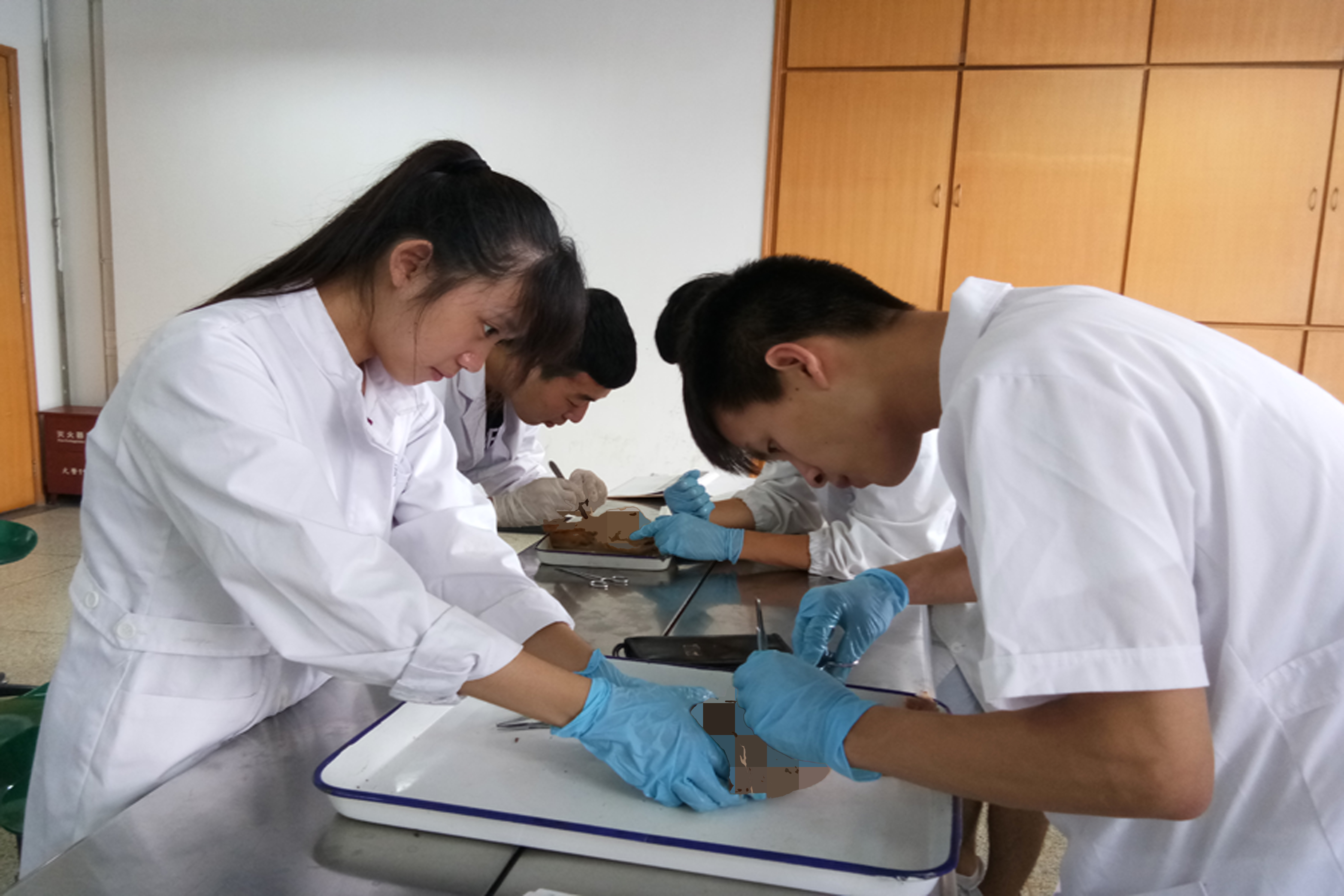 大体标本是什么解剖“匠人”为大体老师延续生命_https://www.jmylbn.com_新闻资讯_第5张