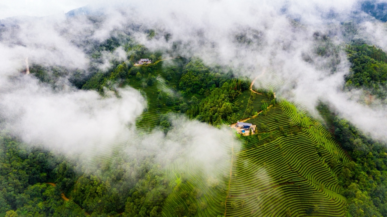 餐饮界 餐饮新媒体
