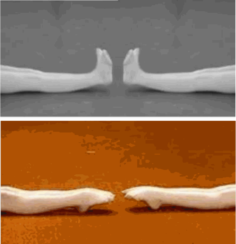 ec696ffc7616d013f11b110e88dce1e.png