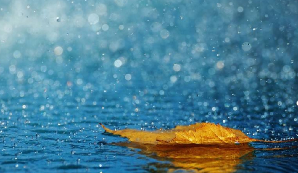 载着晨雨的车子消失在了天边,年迈的老人们闲散的时光即刻来临,早早摆