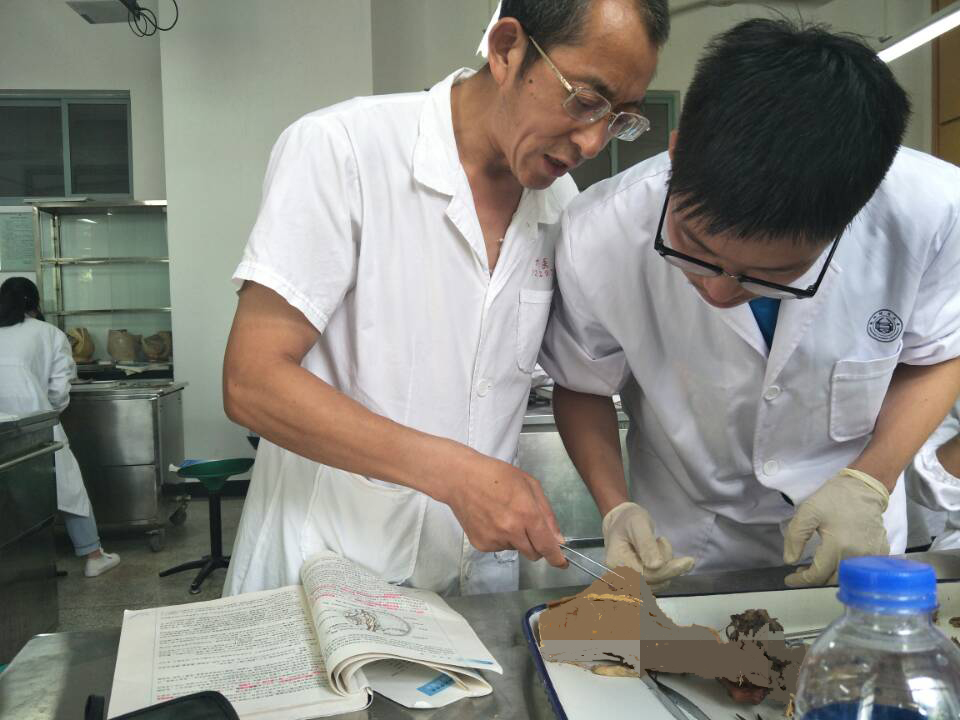 大体标本是什么解剖“匠人”为大体老师延续生命_https://www.jmylbn.com_新闻资讯_第8张