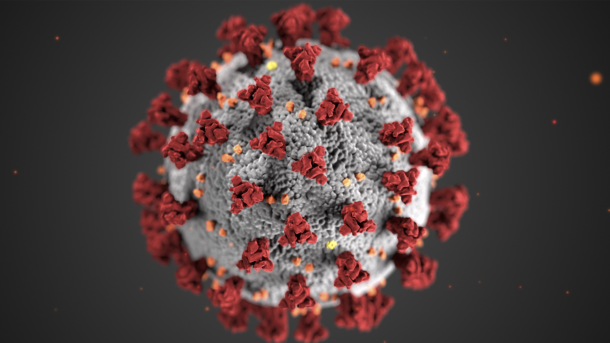 10,病毒表面的刺突蛋白(spike protein),是打开细胞大门的钥匙(图片源