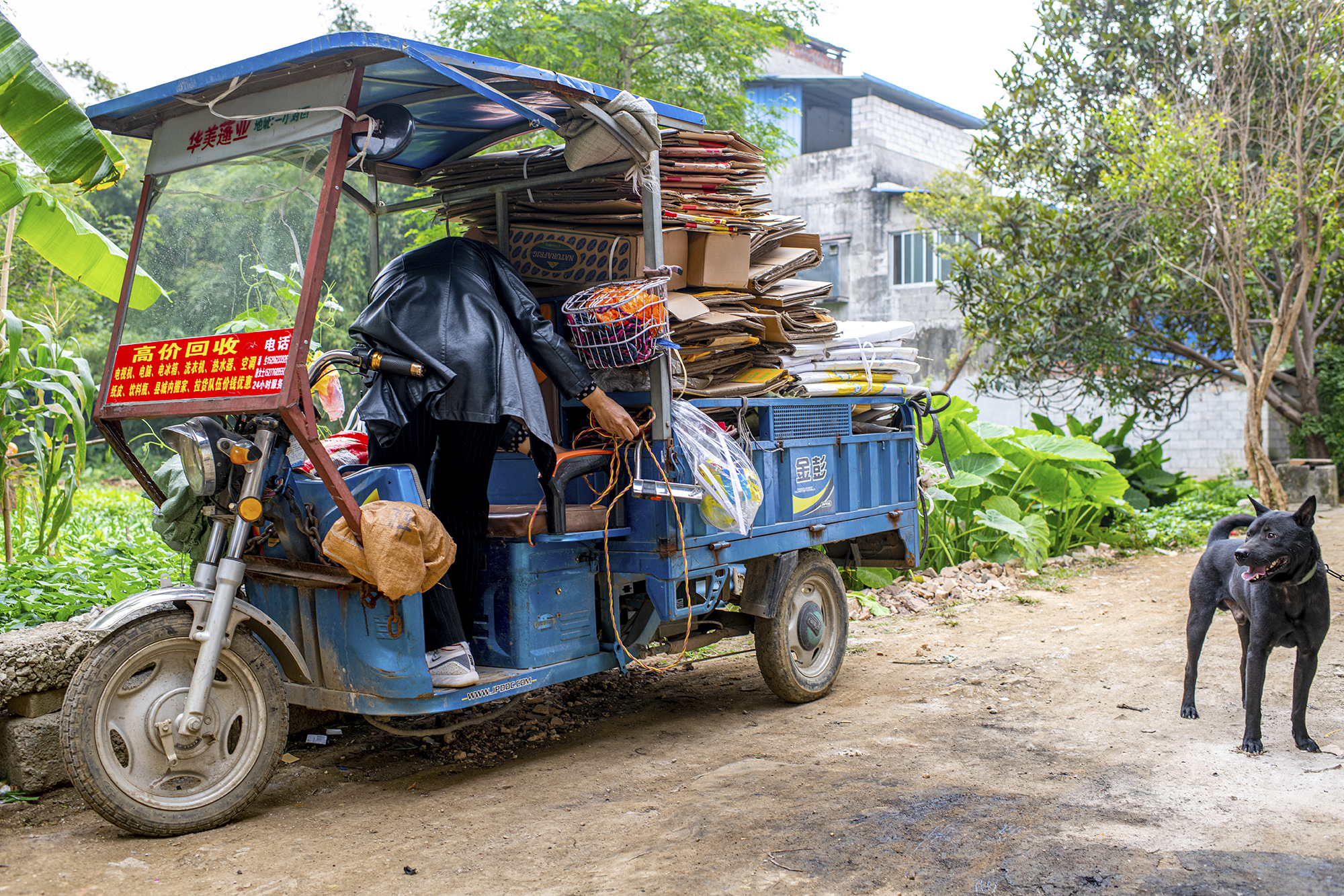 莫立军满载而归拍摄于广西百色市平果市18077611286