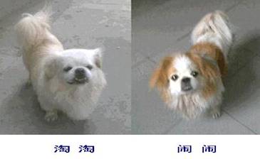 淘闹字.jpg