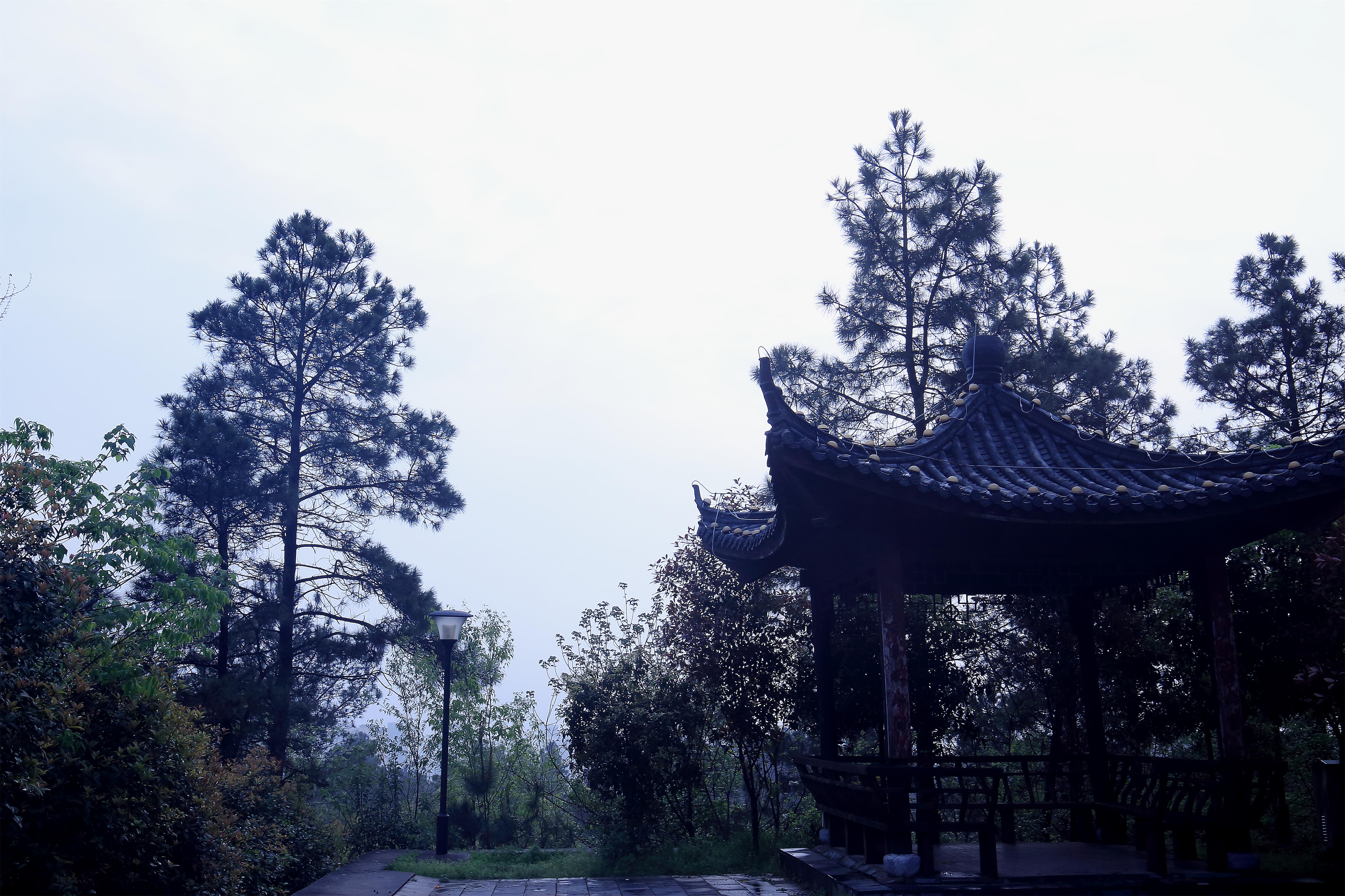 登安徽枞阳县旗山汉武文化生态园游记