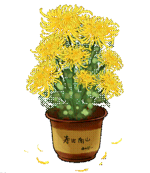 盆.gif