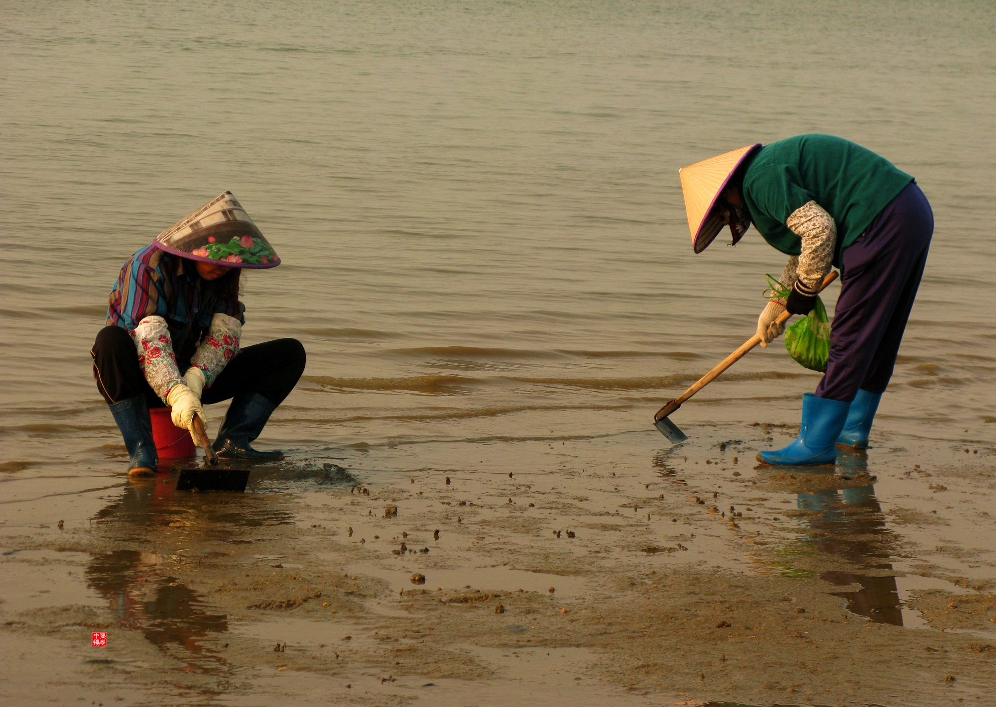 海滨拾贝.大 444.jpg