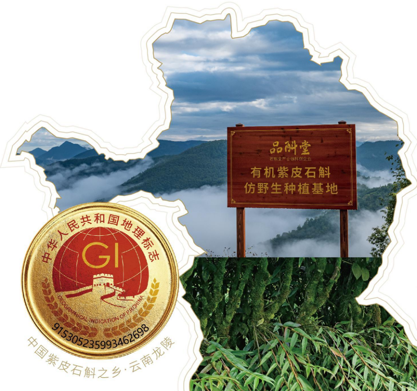 品斛堂荣获CIC灼识多项市场地位确认证书