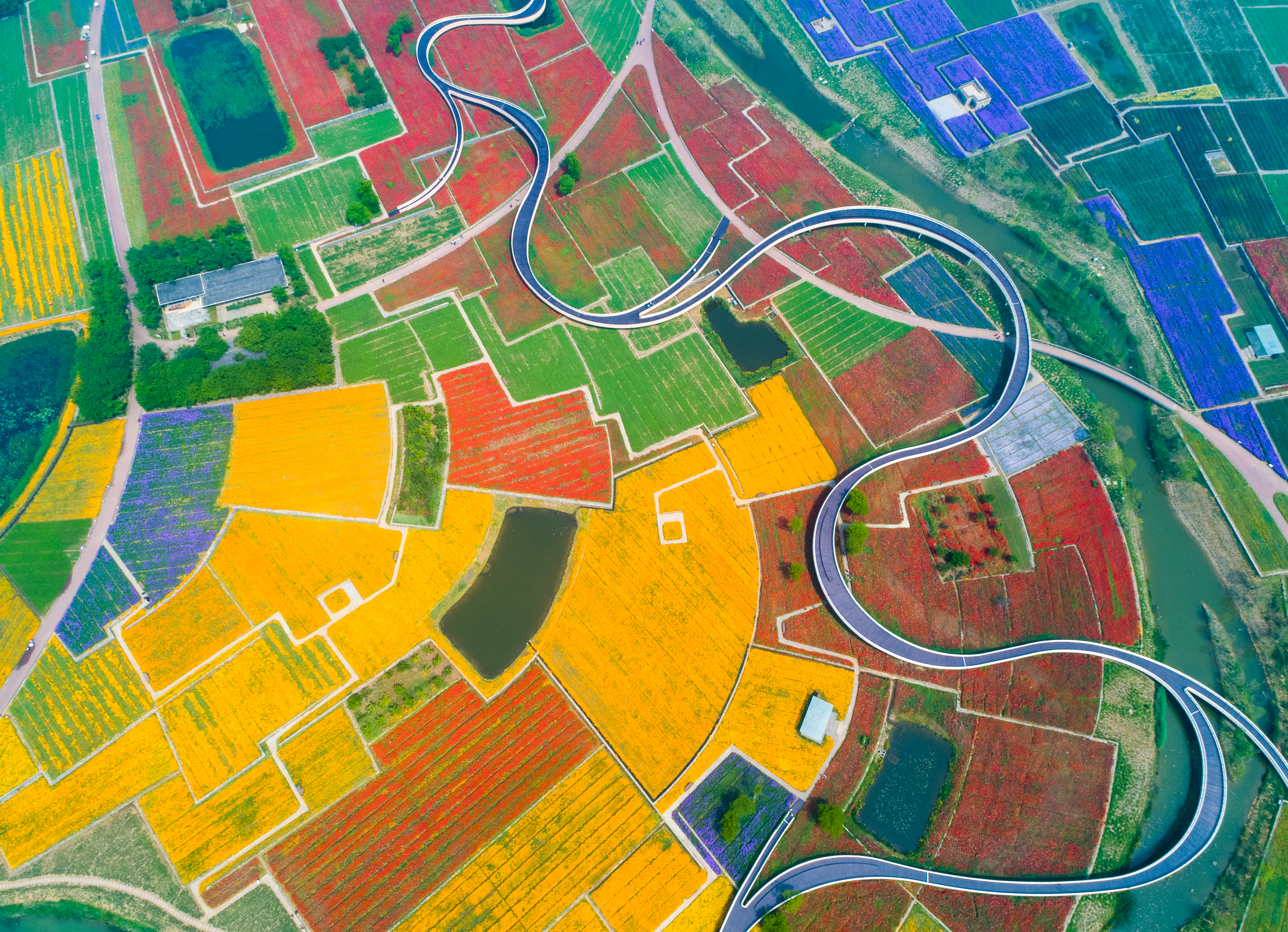 七彩纳田美如画