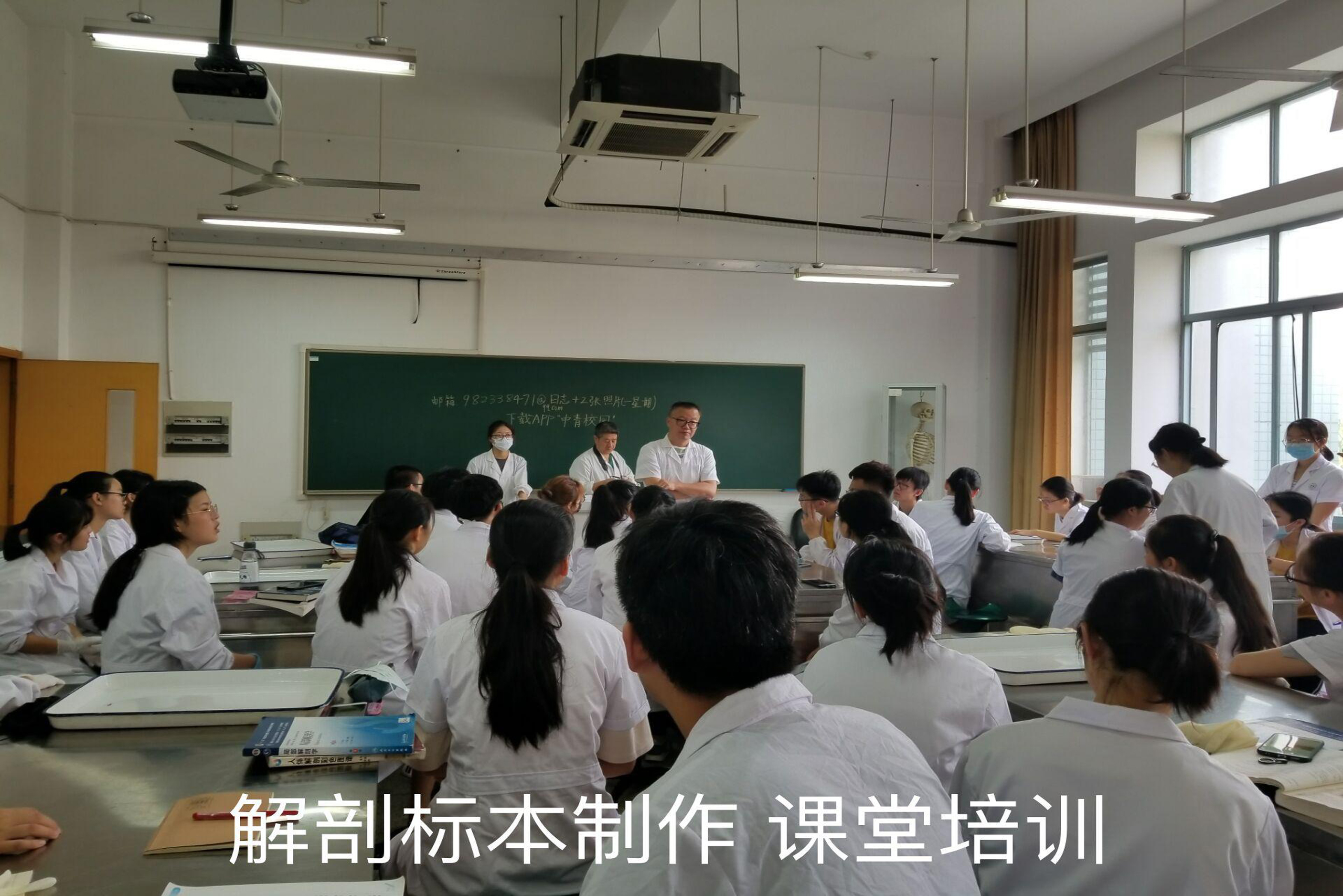 大体标本是什么解剖“匠人”为大体老师延续生命_https://www.jmylbn.com_新闻资讯_第2张