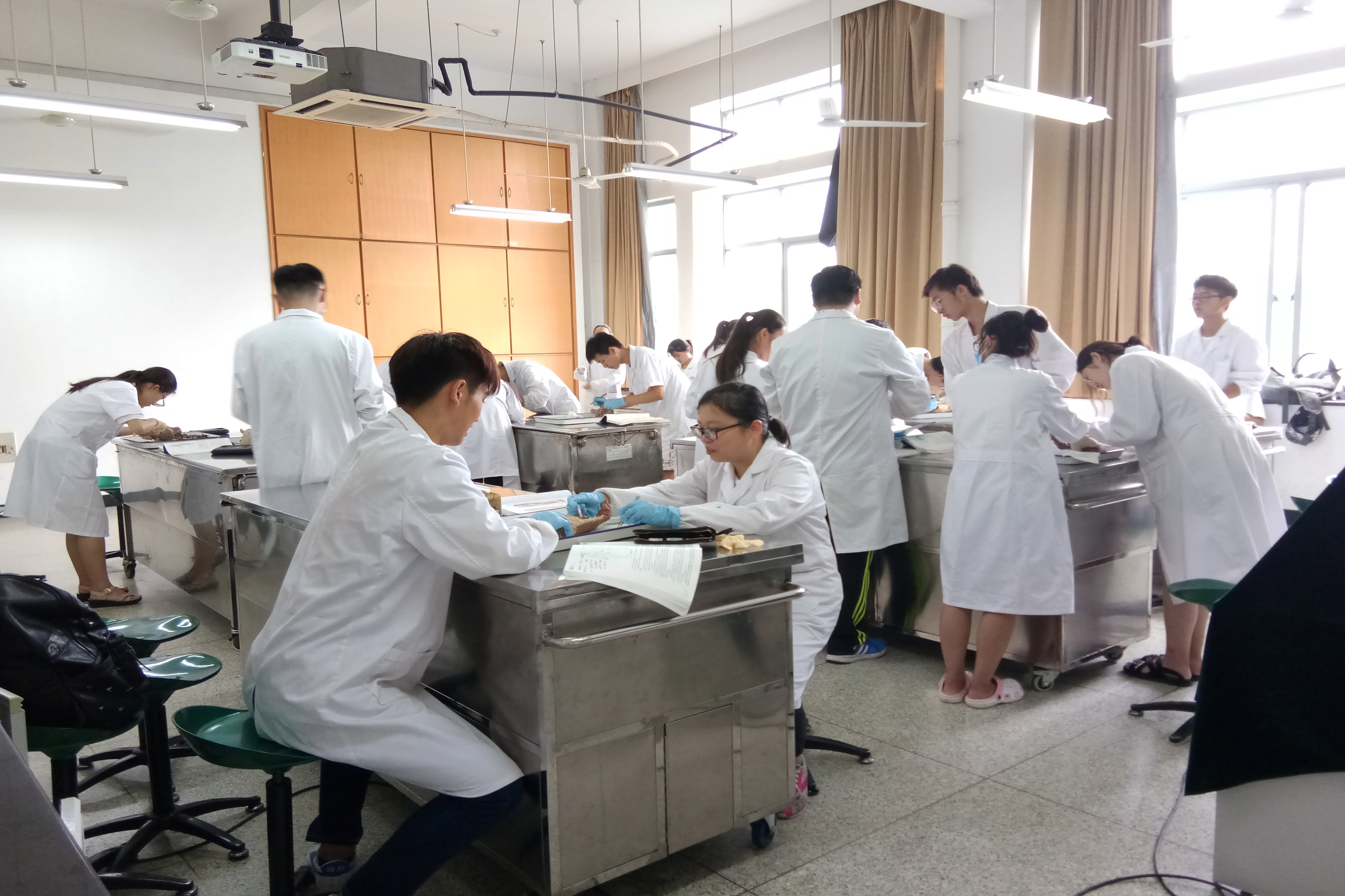 解剖匠人为大体老师延续生命