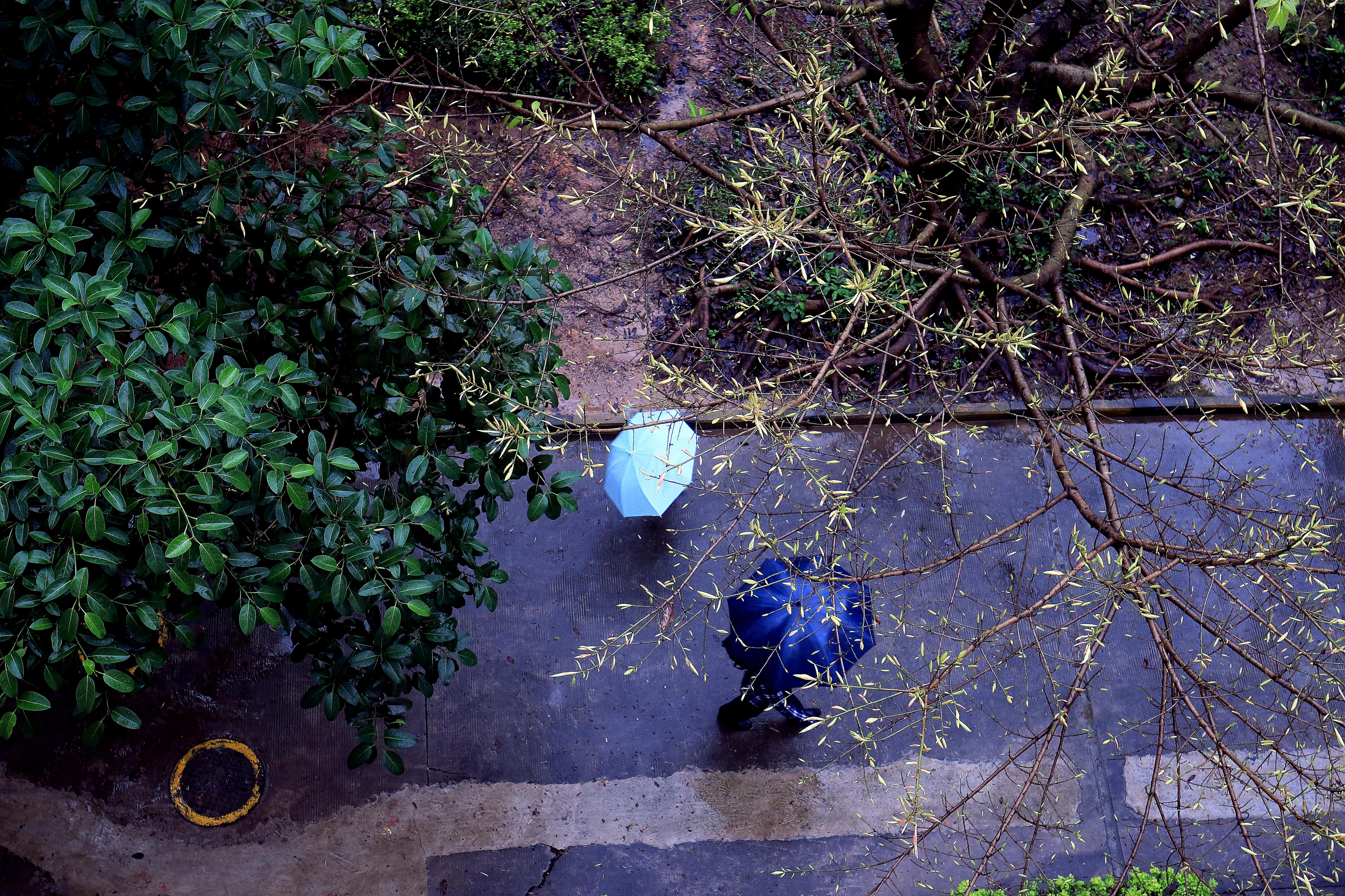 雨水-2.JPG
