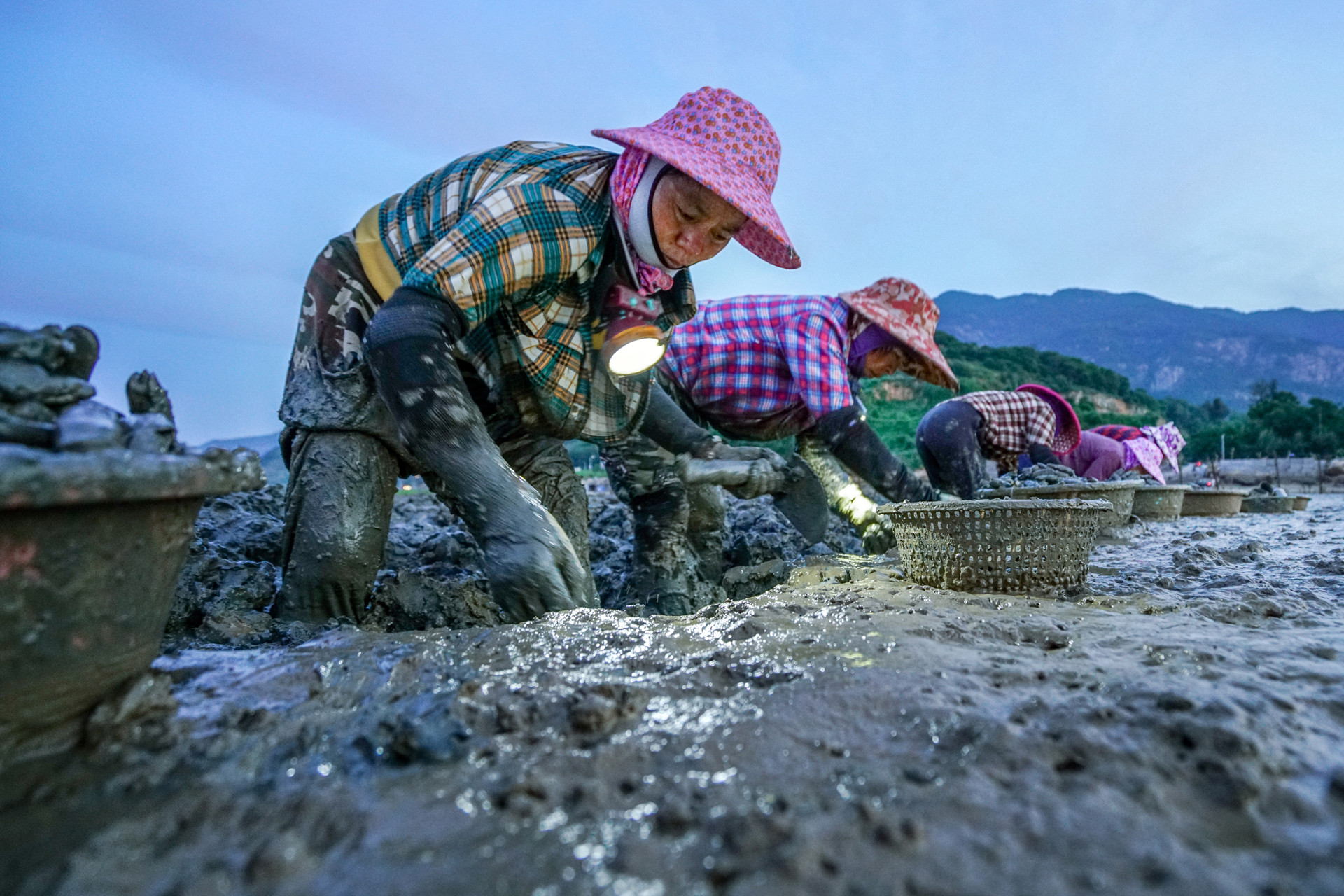 收获季节（组图2）摄于2020，7，19，福建省连江县中麻村，中麻村是连江县藏在深闺人不知的滨海乡村，村民在万亩滩涂上种殖海蛏，到了每年七月份全村村民都会在滩涂海田里挖海蛏，又是一年淘海收获季节劳动画面精彩上演。.jpg