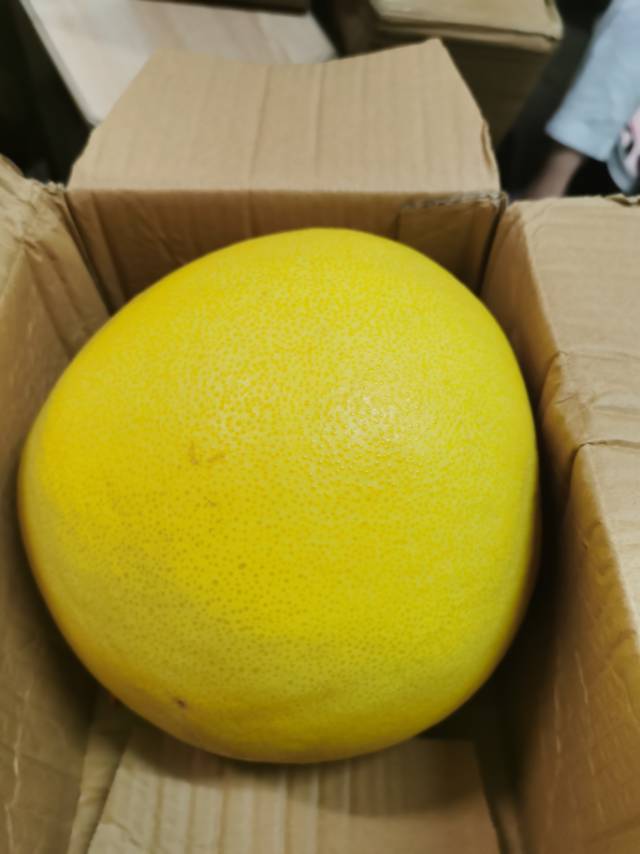 出一个四斤大柚子