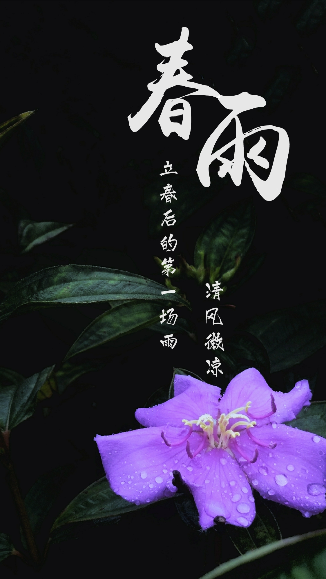 滴答  滴答是立春后的第一场雨雨后,空气里全是新泥与鲜草的味道