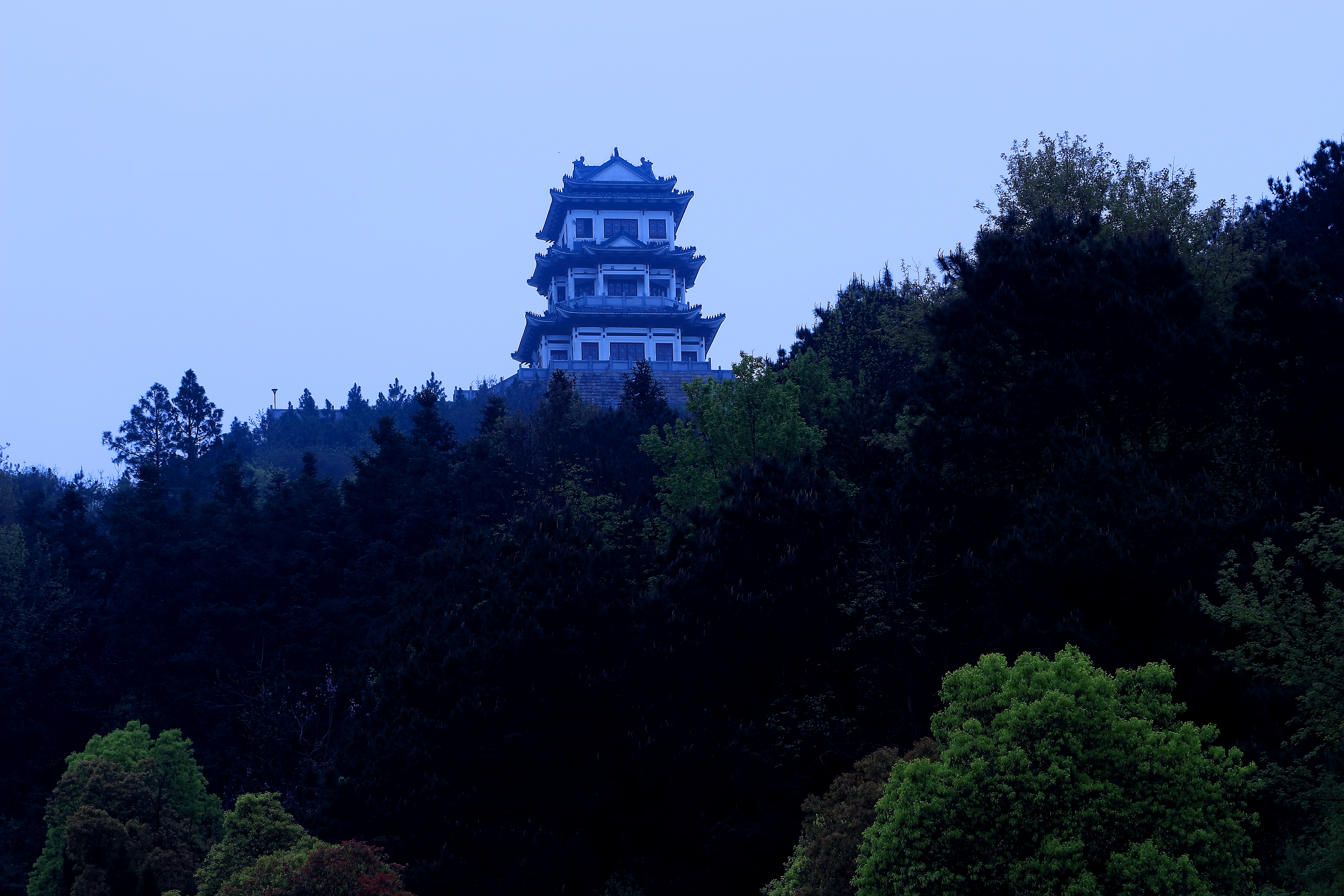 刘大櫆(1698—1780),字才甫,一字耕南,号海峰,枞阳县汤沟镇祖居村人.