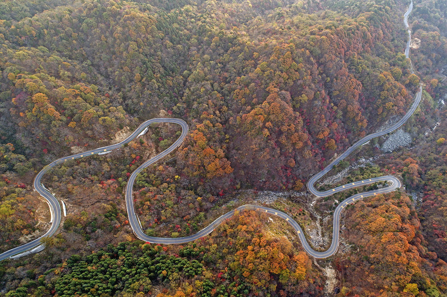 被誉为安徽"最美公路"和"大别山最美旅游环线"的马鬃岭旅游扶贫公路