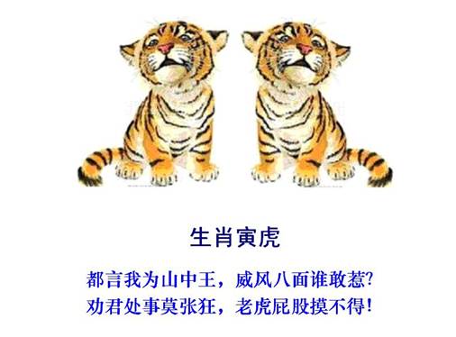 3虎.jpg