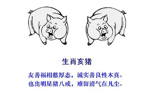 12猪.jpg
