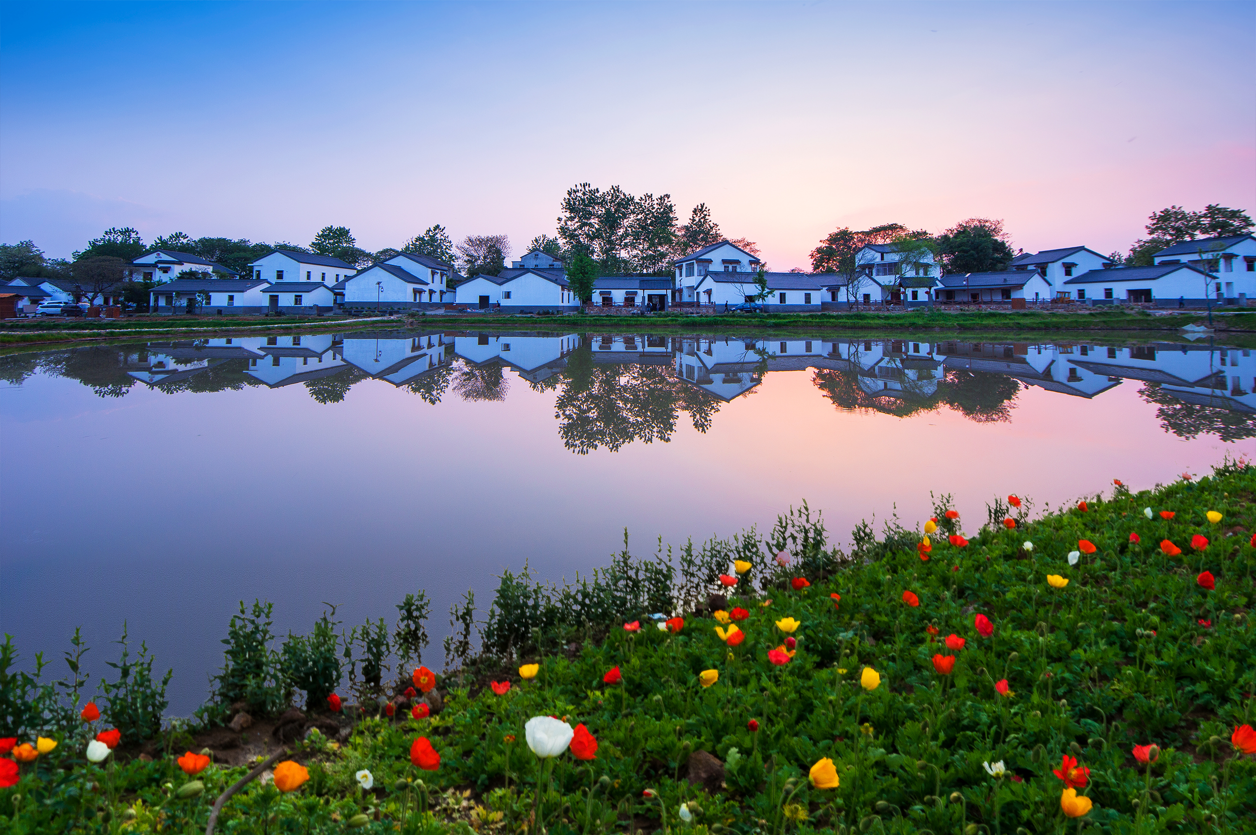 《美丽新农村》