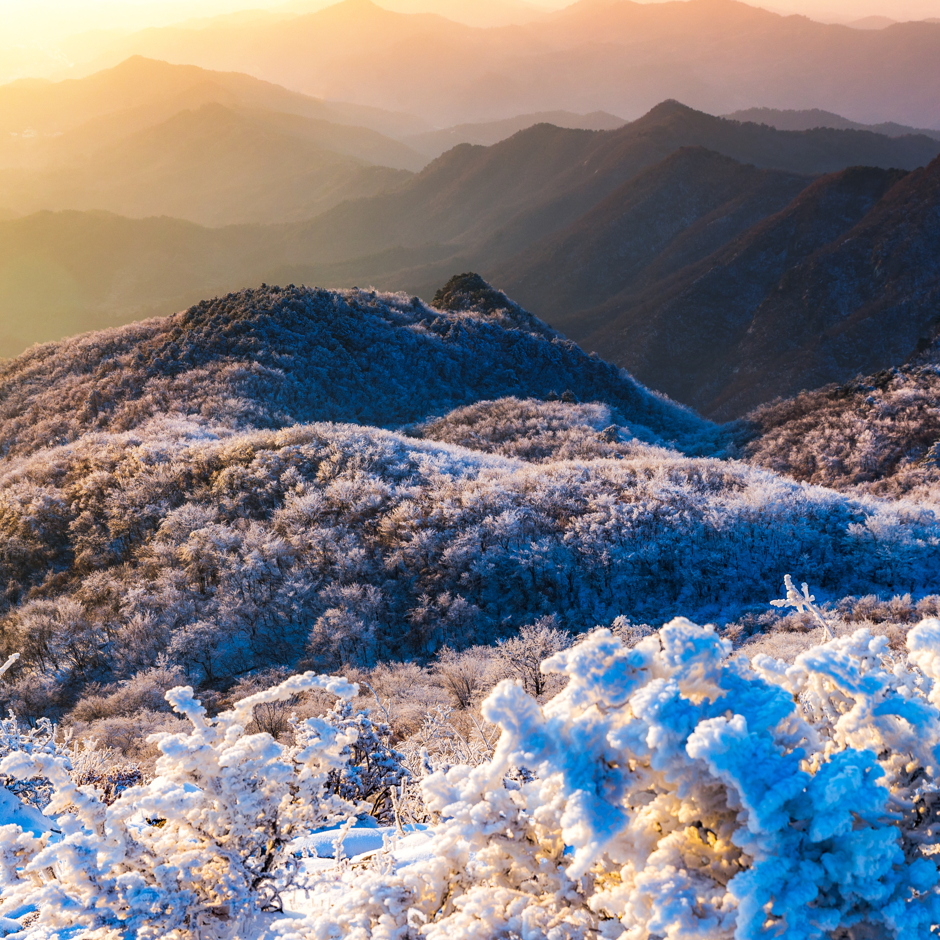 大别山冬韵