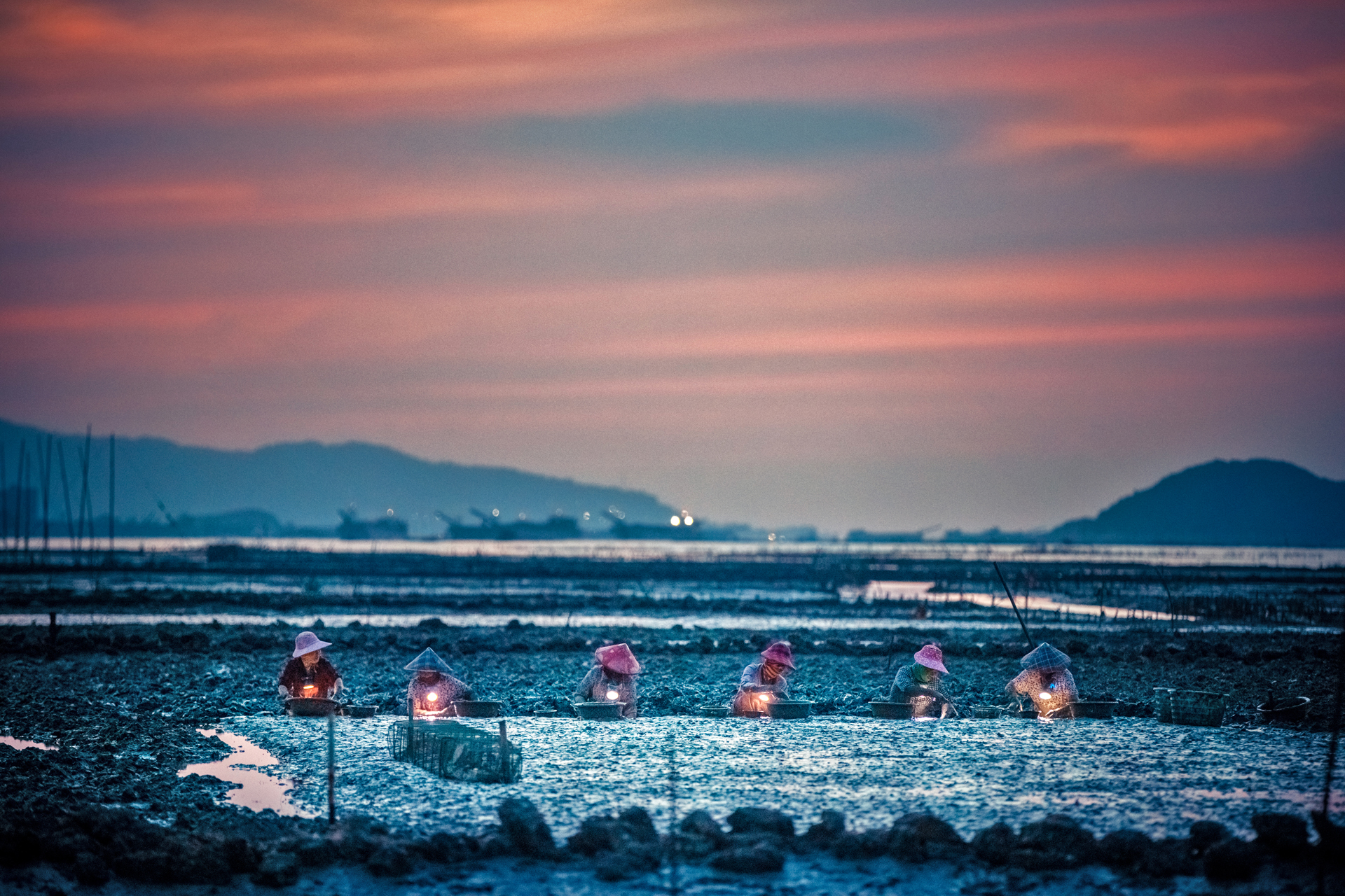 收获季节（组图1）摄于2020，7，19，福建省连江县中麻村，中麻村是连江县藏在深闺人不知的滨海乡村，村民在万亩滩涂上种殖海蛏，到了每年七月份全村村民都会在滩涂海田里挖海蛏，又是一年淘海收获季节劳动画面精彩上演。.jpg