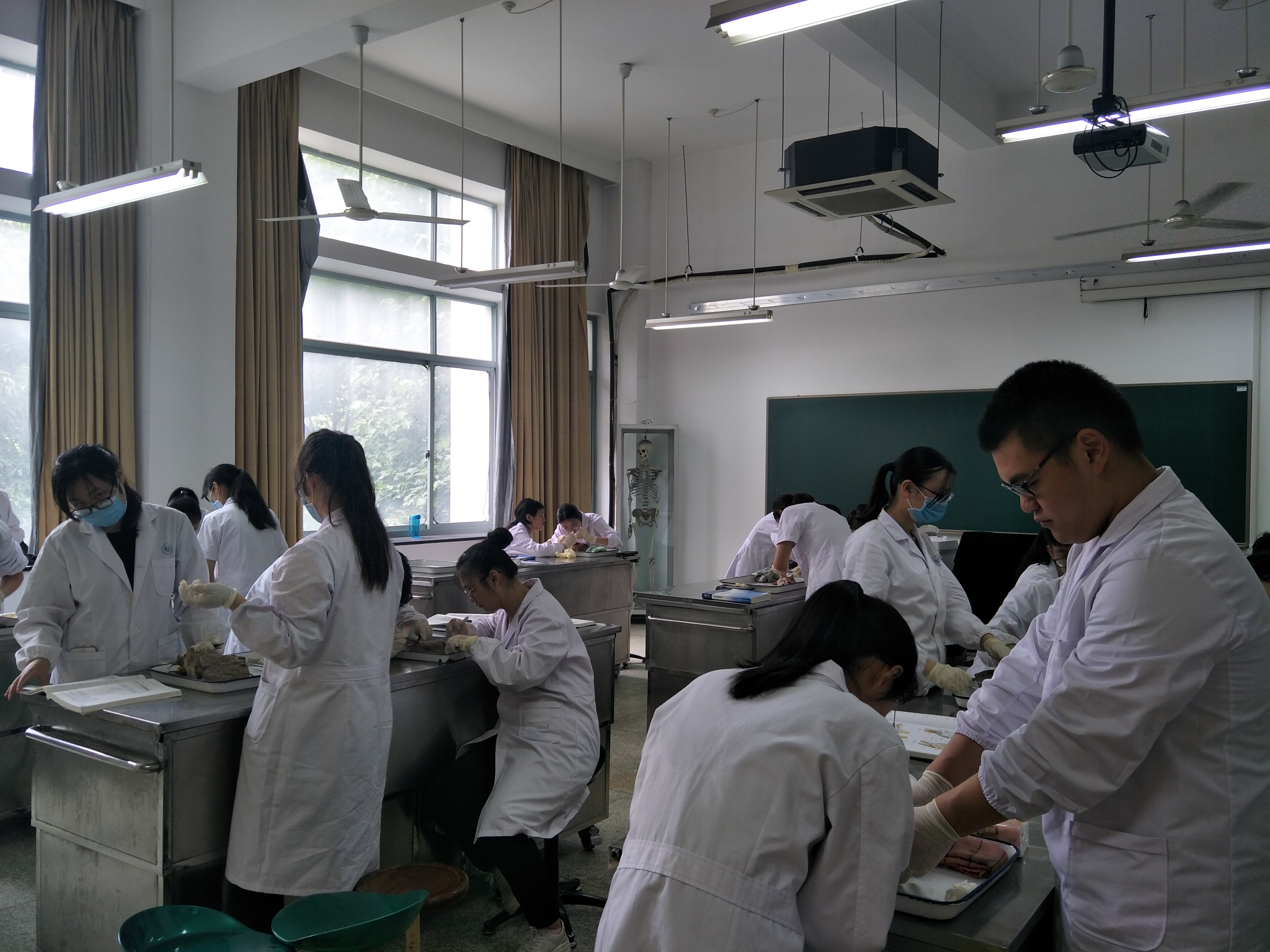 大体标本是什么解剖“匠人”为大体老师延续生命_https://www.jmylbn.com_新闻资讯_第7张