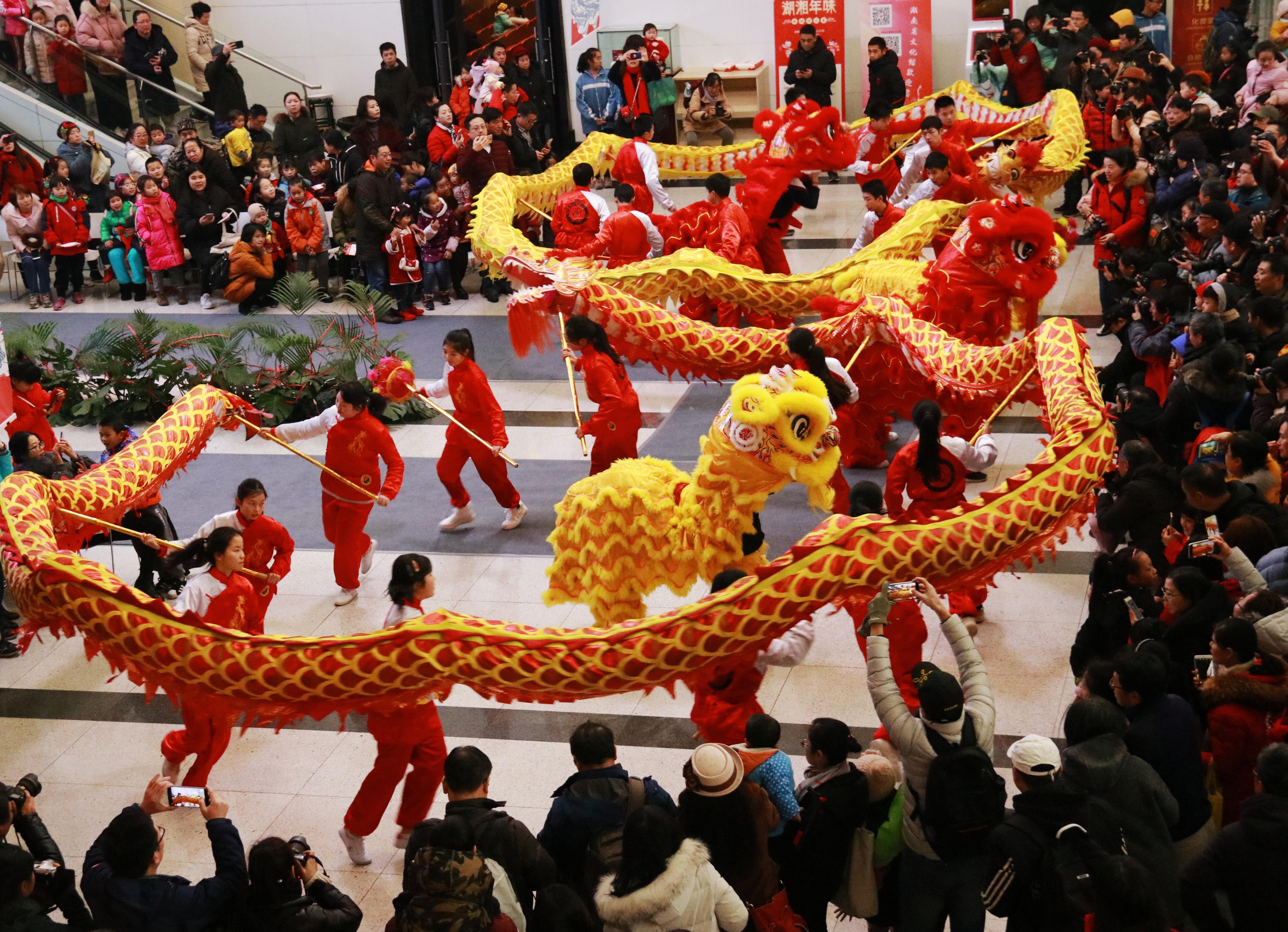 龙飞凤舞贺新春