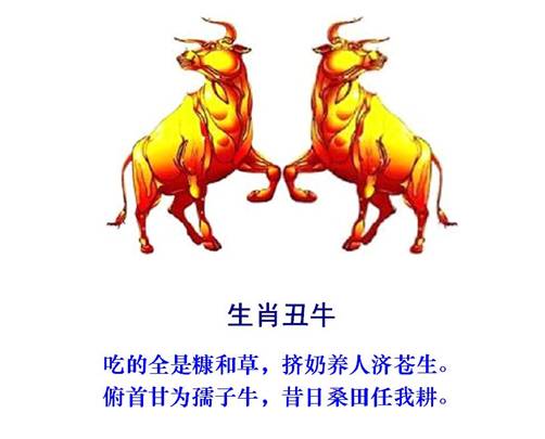 2牛.jpg