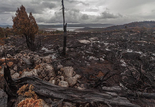当私家车遍地奔跑时,是否会想到尾气是形成酸雨的原因之一,是否会想到