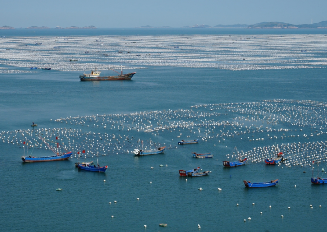 东海贻贝之乡