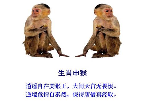 9猴.jpg